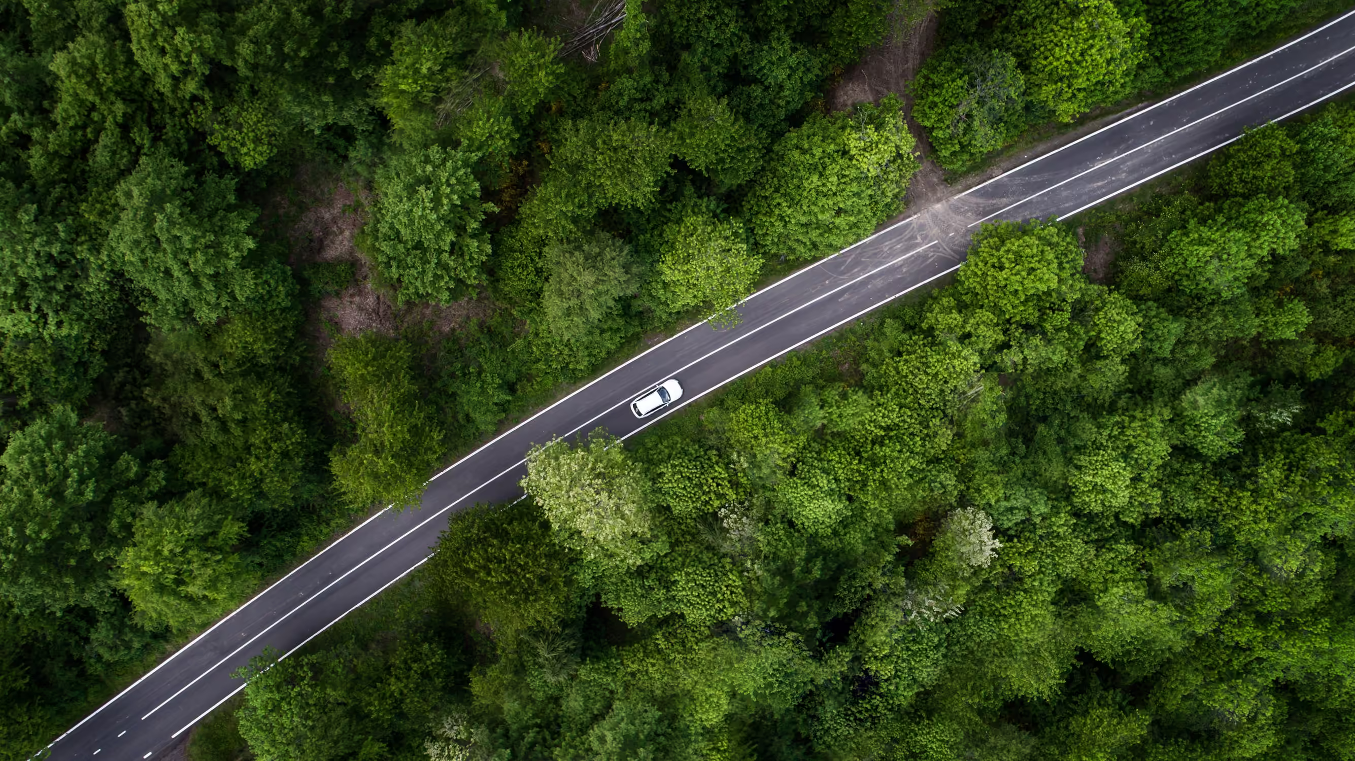 Aerial view of a single road cutting through a dense green forest